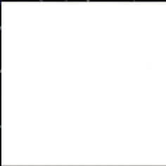 COLOR BLANCO CH 